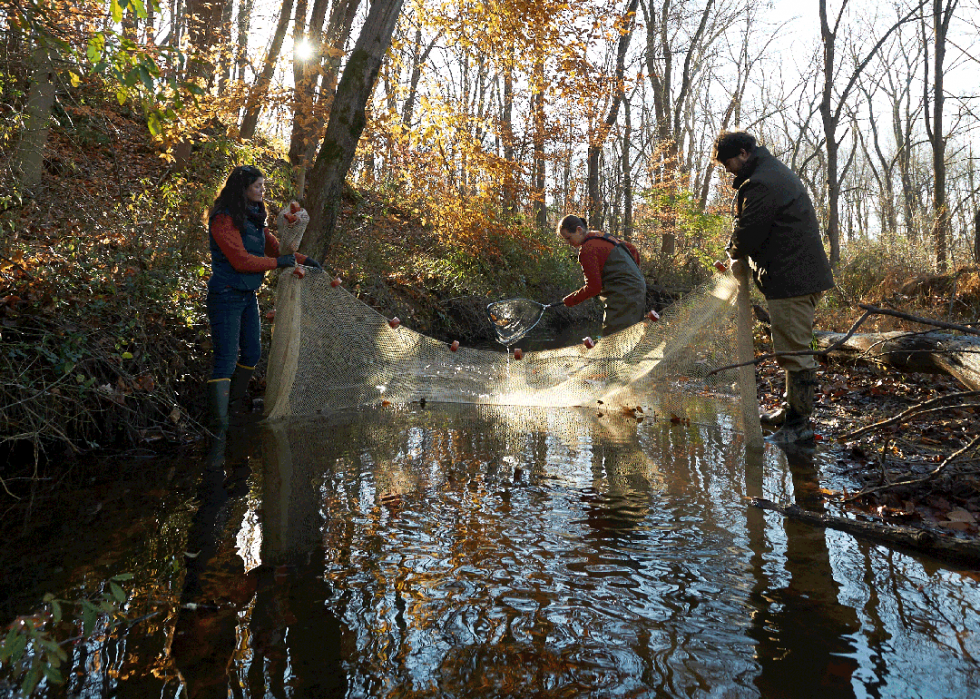 Les 39 meilleures associations caritatives environnementales 