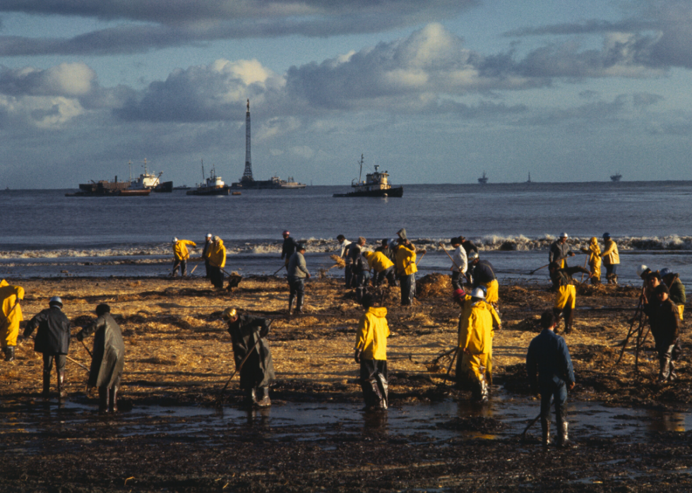 Du Jour de la Terre aux grèves scolaires :une chronologie du mouvement écologiste américain 