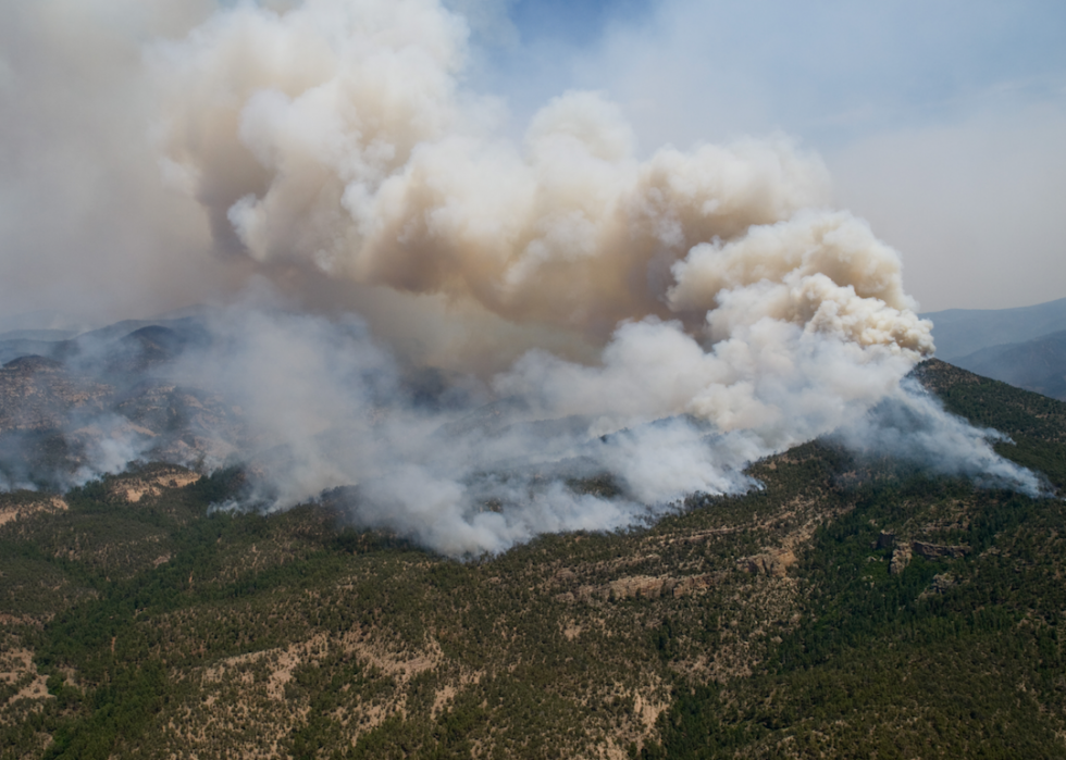 Les plus grands incendies de forêt de la décennie 