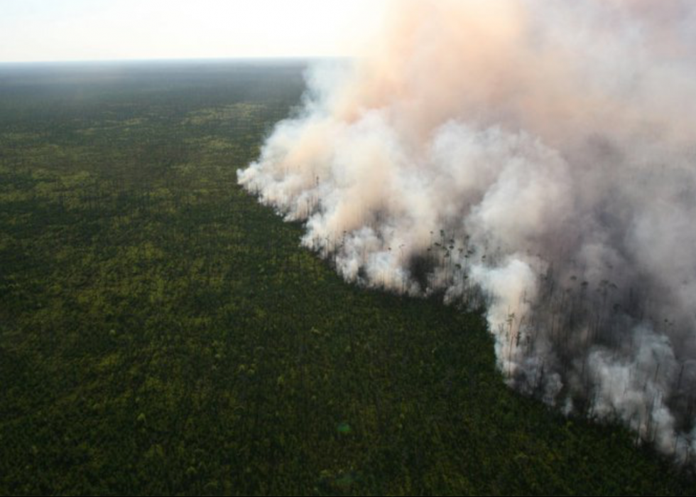 Les plus grands incendies de forêt de la décennie 