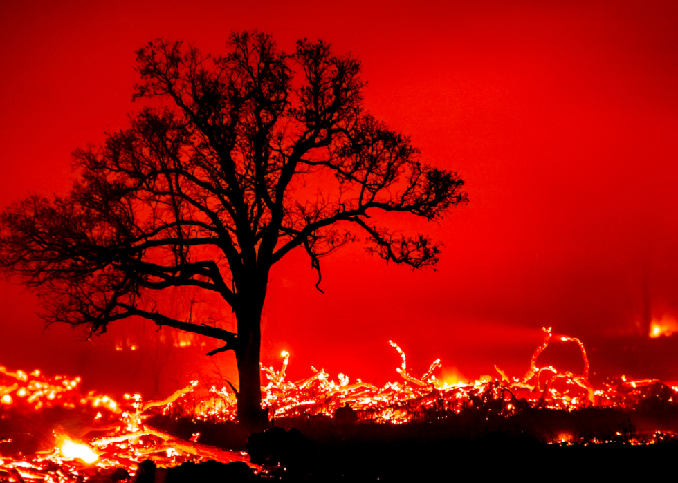 Les plus grands incendies de forêt de la décennie 