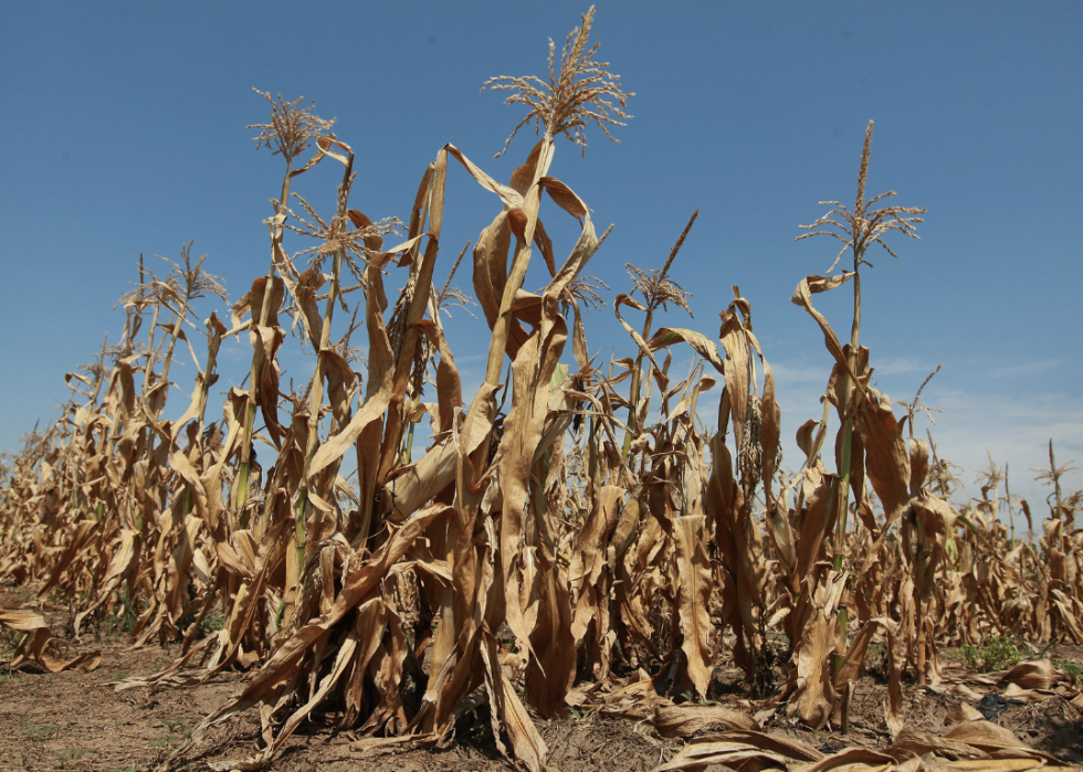 Catastrophes naturelles liées au changement climatique 