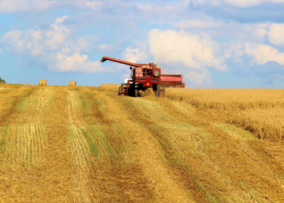 L impact de votre consommation alimentaire sur l environnement mondial 