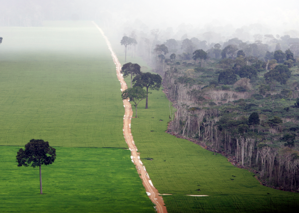 L impact de votre consommation alimentaire sur l environnement mondial 