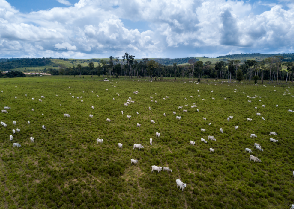 L impact de votre consommation alimentaire sur l environnement mondial 