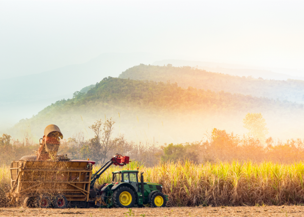 L impact de votre consommation alimentaire sur l environnement mondial 