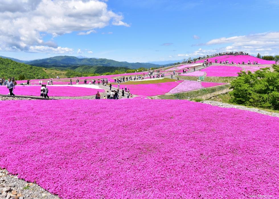 47 plantes qui commencent à fleurir en mars 