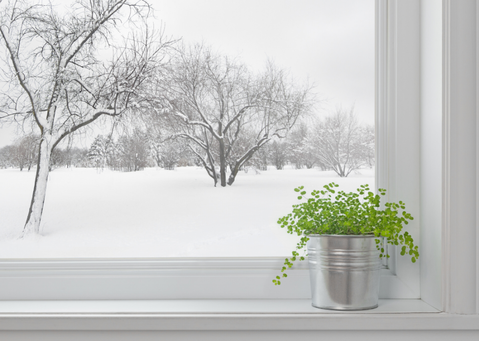 20 conseils pour aider vos plantes d intérieur à survivre à l hiver 