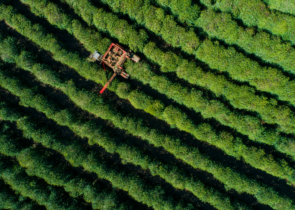 Top 10 des aliments les meilleurs et les pires pour l environnement 