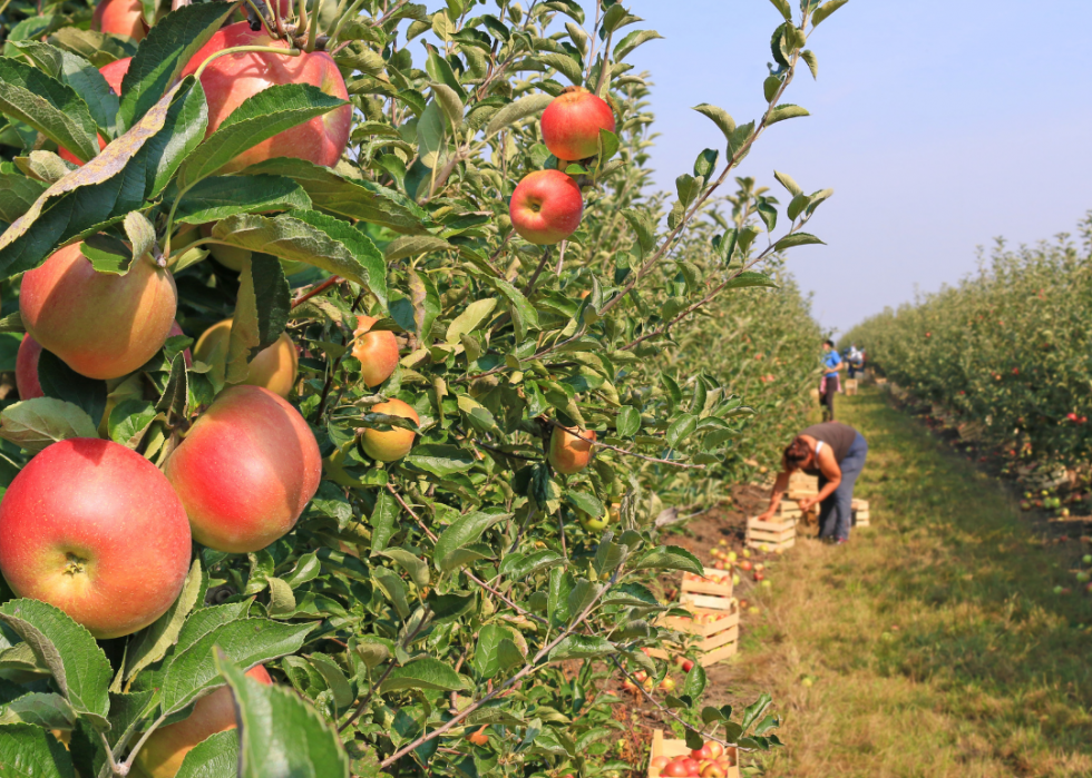 Top 10 des aliments les meilleurs et les pires pour l environnement 