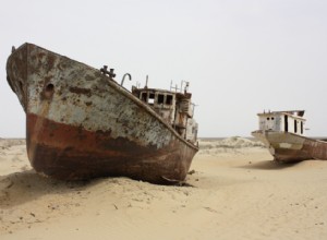 30 écosystèmes en péril et les espèces menacées qui y vivent 