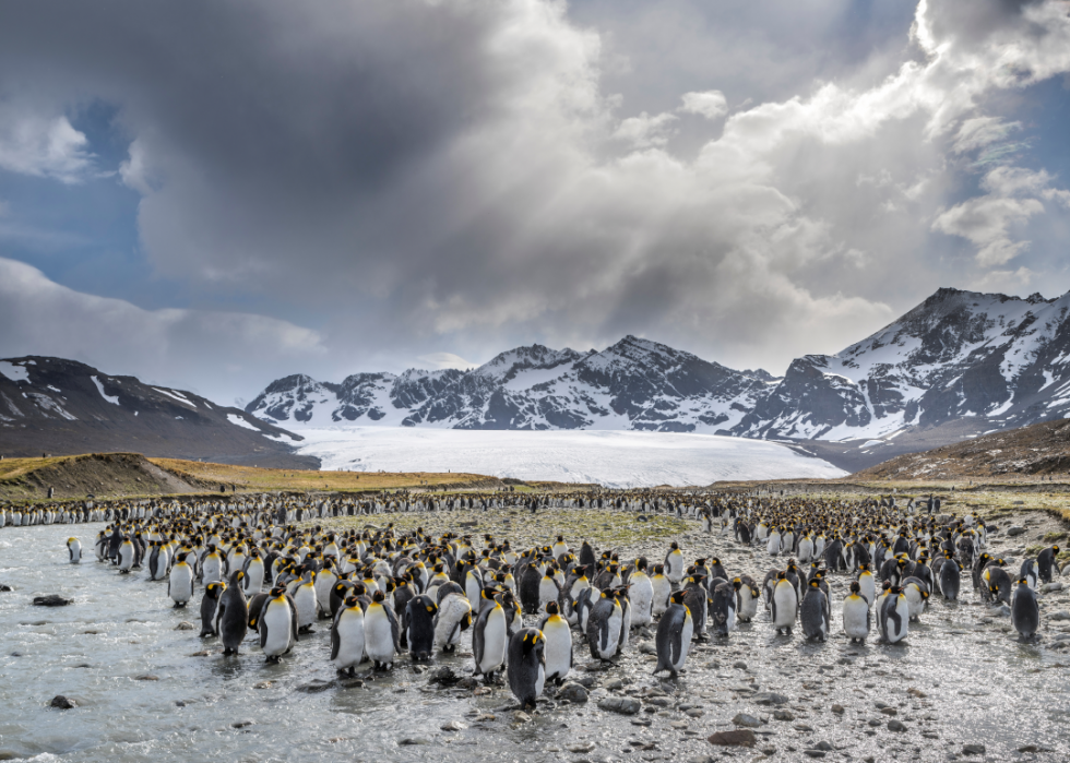 De superbes photos d animaux du monde entier 