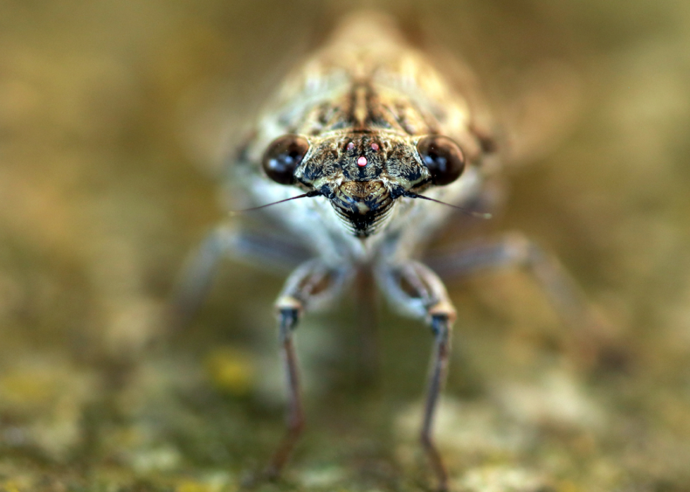 De superbes photos d animaux du monde entier 