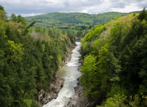 États avec les espèces les plus menacées 