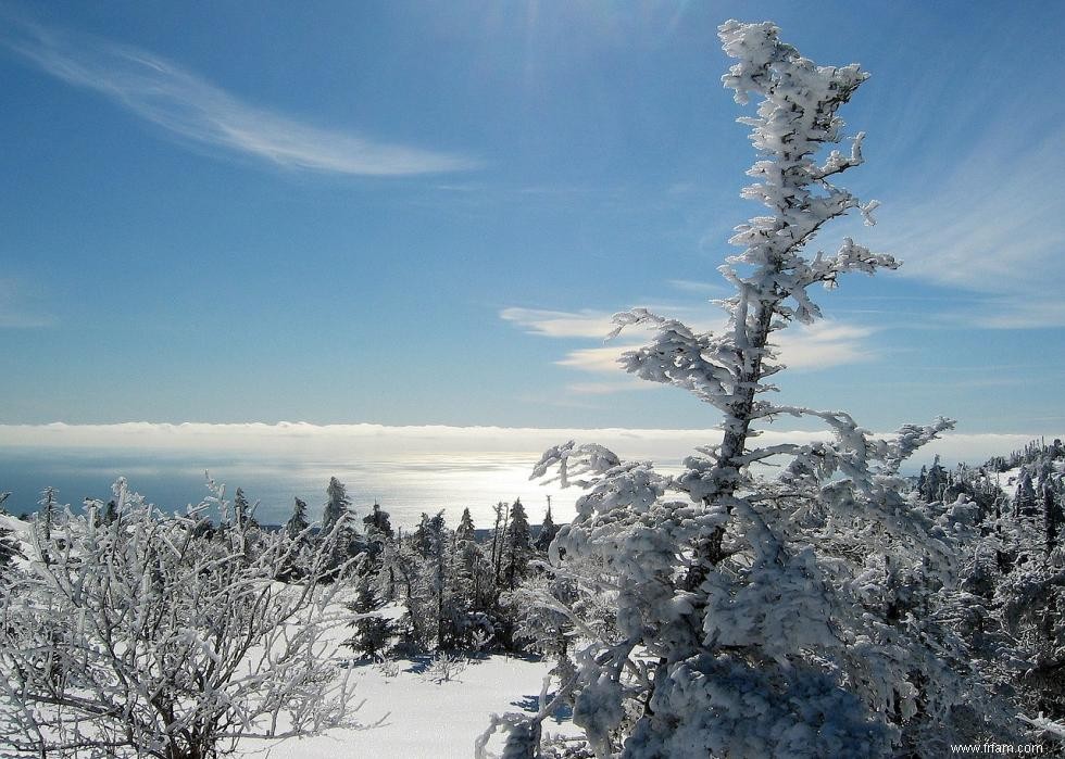 Sondage MSN :ce que chaque État pense du temps hivernal 