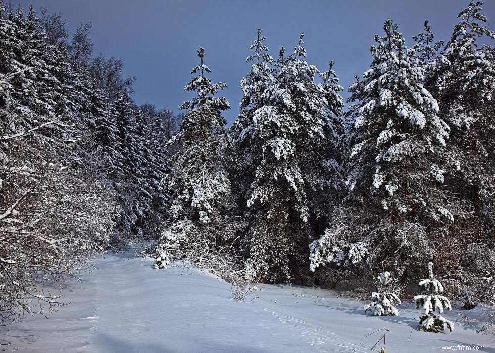 Sondage MSN :ce que chaque État pense du temps hivernal 