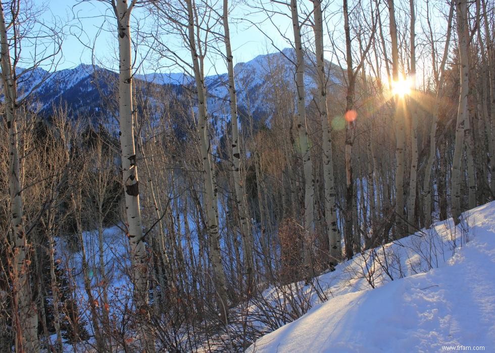 Sondage MSN :ce que chaque État pense du temps hivernal 