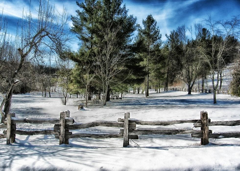 Sondage MSN :ce que chaque État pense du temps hivernal 