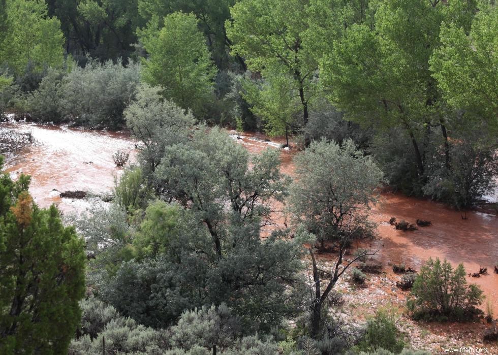 États les plus exposés au risque d inondation 