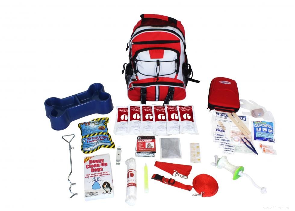 16 des meilleurs kits d urgence sur le marché 