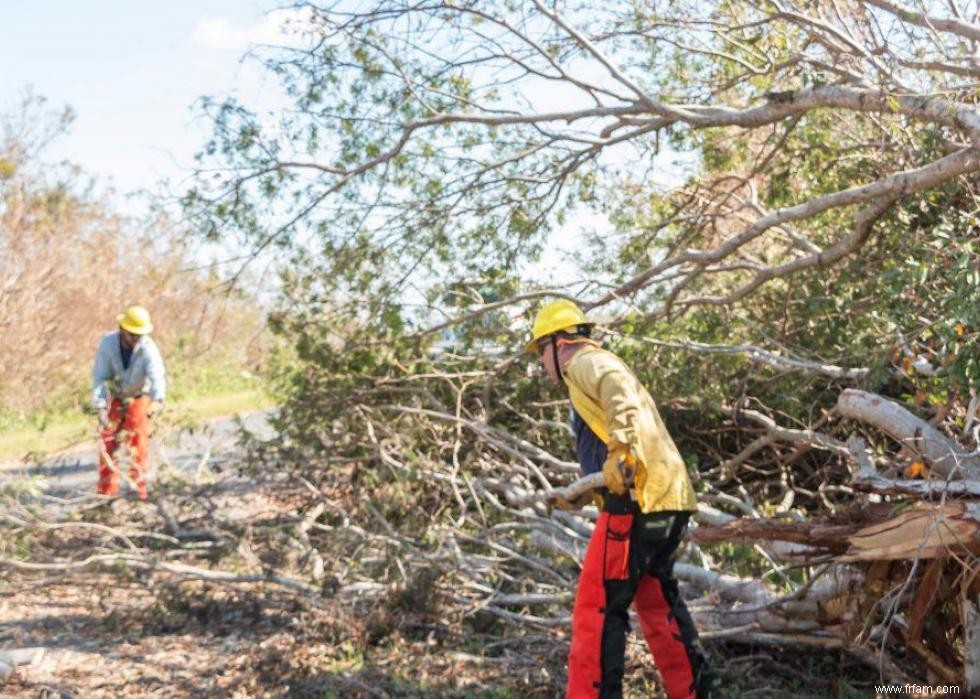 Que faire après un ouragan 