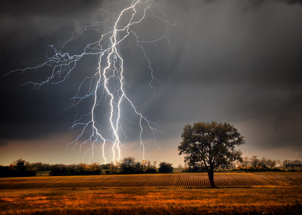 Pourquoi la foudre frappe-t-elle ? Et des réponses à 50 autres questions météo 