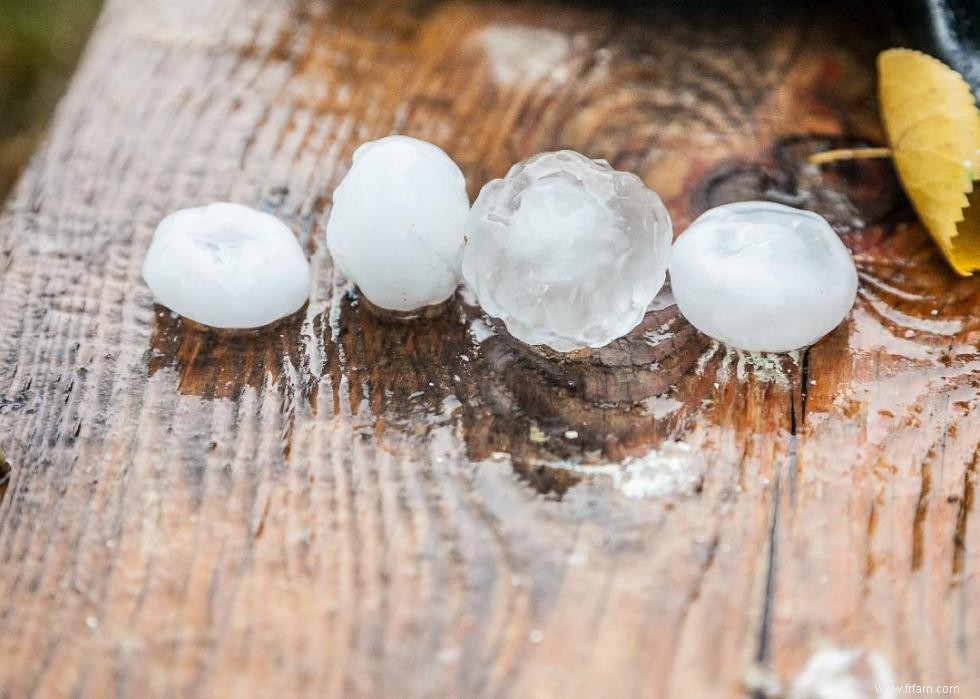 30 des tempêtes de grêle les plus dévastatrices de l histoire des États-Unis 