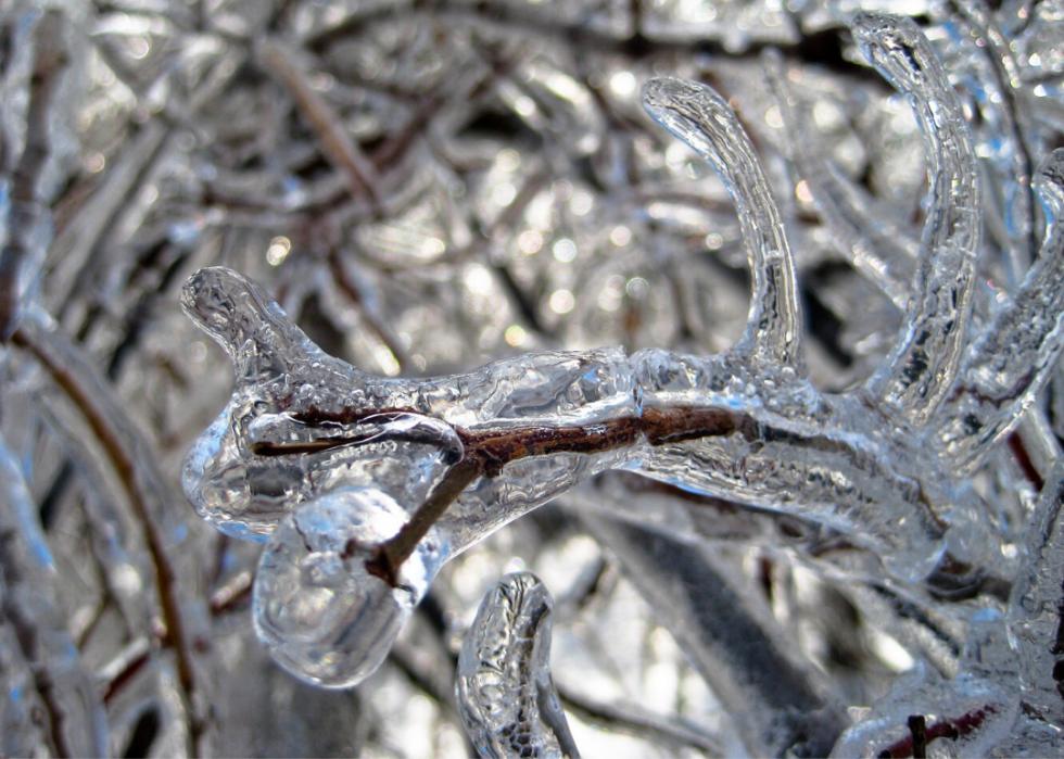 Les tempêtes hivernales les plus destructrices de la décennie 