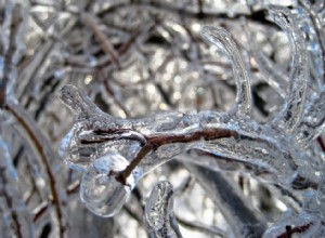 Les tempêtes hivernales les plus destructrices de la décennie 