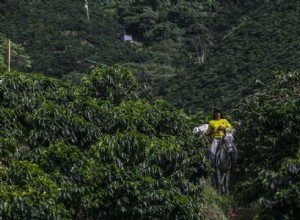 30 façons dont les conditions météorologiques extrêmes affectent notre alimentation 