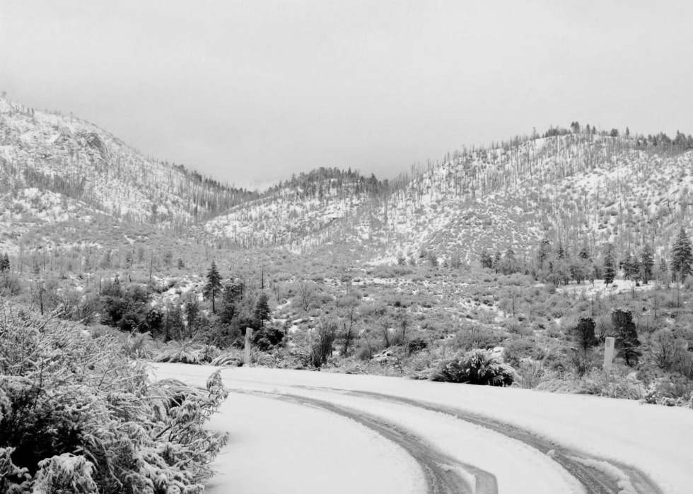 À quoi ressemblait l hiver l année de ta naissance 