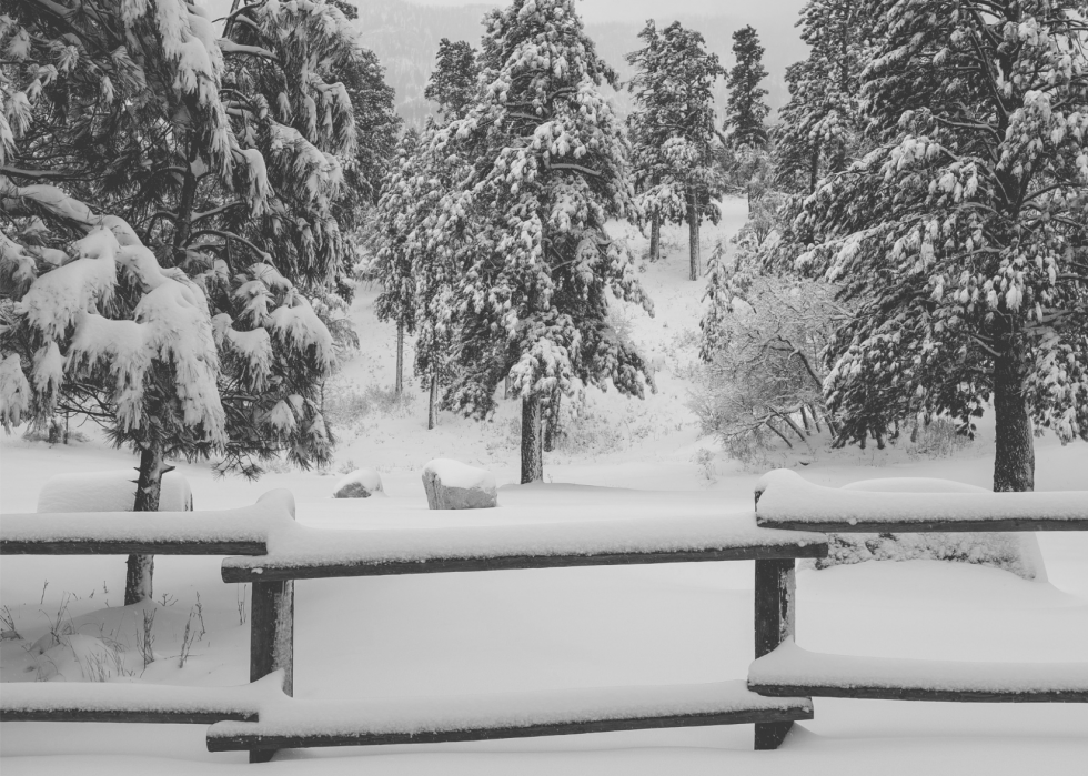 À quoi ressemblait l hiver l année de ta naissance 