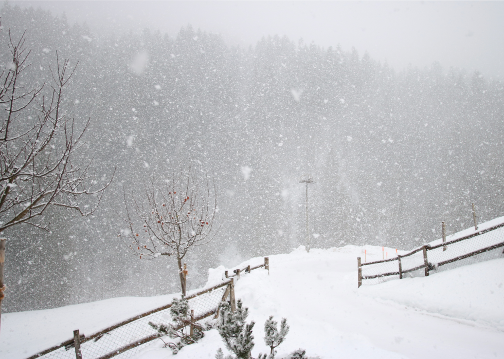 À quoi ressemblait l hiver l année de ta naissance 