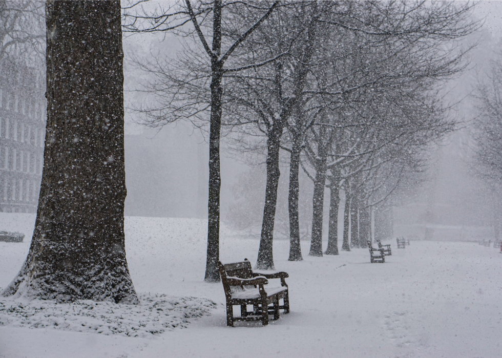 À quoi ressemblait l hiver l année de ta naissance 