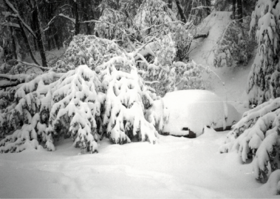 À quoi ressemblait l hiver l année de ta naissance 