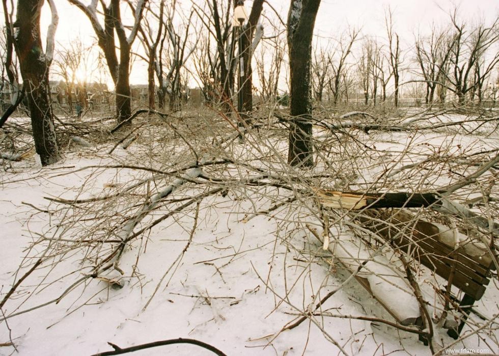 À quoi ressemblait l hiver l année de ta naissance 