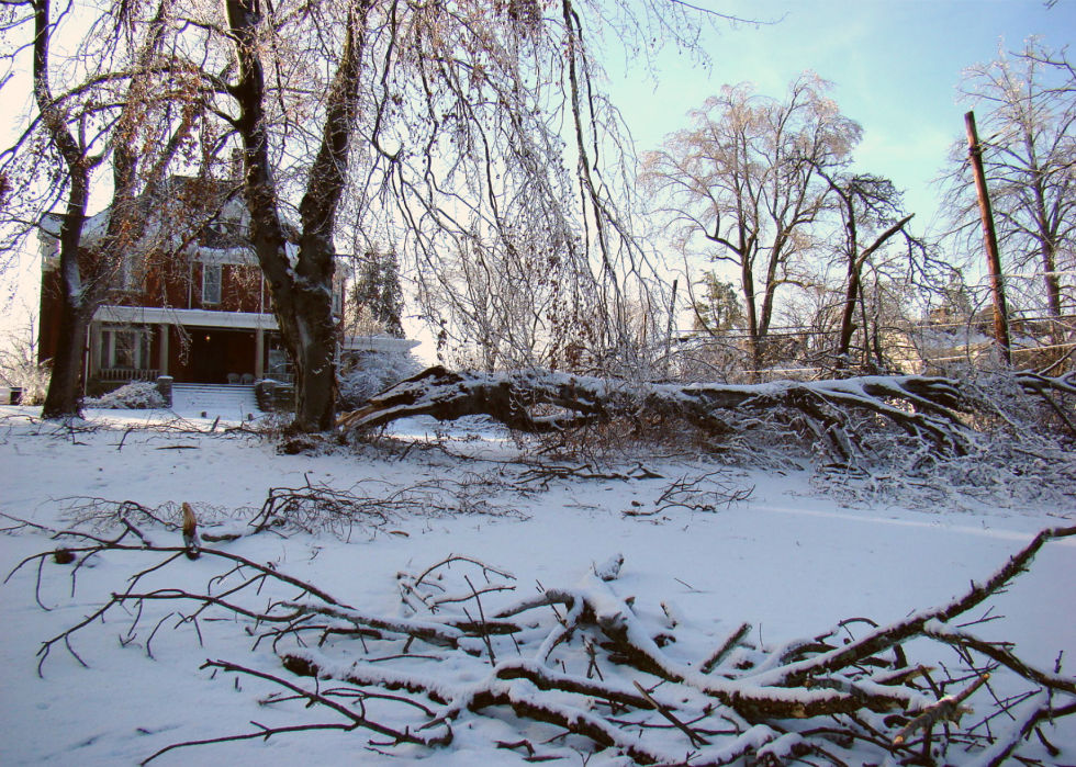 À quoi ressemblait l hiver l année de ta naissance 