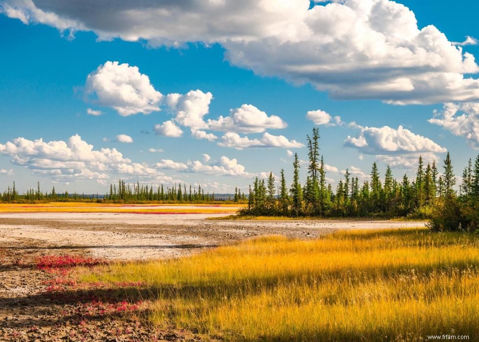 Endroits avec les revenus les plus élevés au Canada 