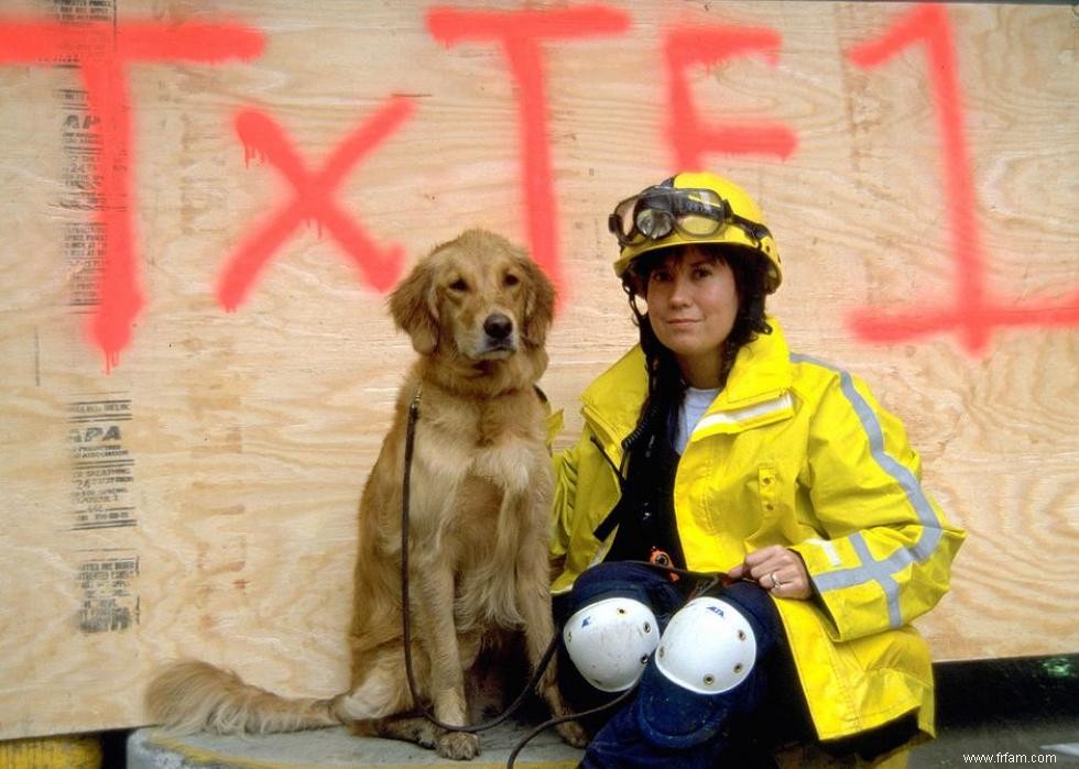 30 histoires courageuses de compagnons K-9 