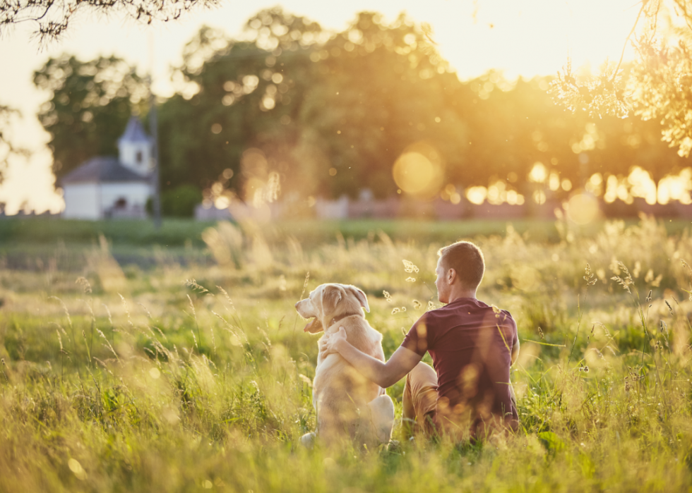 20 façons dont les humains ont façonné l histoire évolutive des chiens 