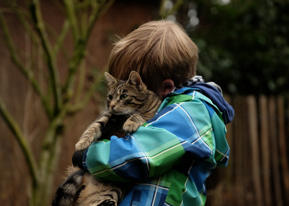 20 exemples d animaux de thérapie qui ne sont pas des chiens 