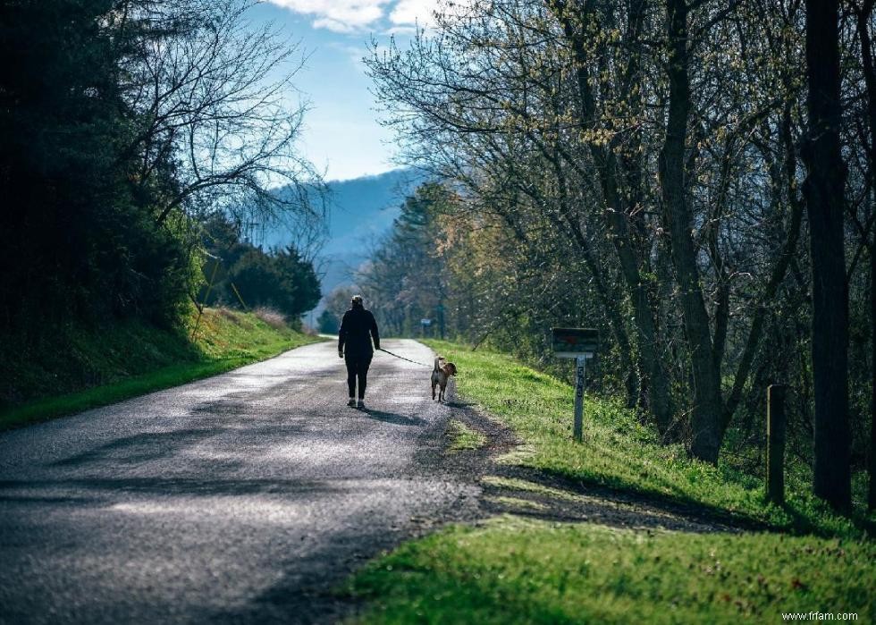 Pourquoi les chiens lèchent-ils les gens ? Et des réponses à 50 autres questions canines 