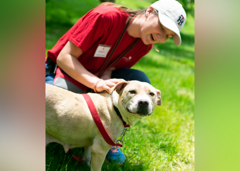 Les refuges pour animaux qui accueillent le plus de chiens et de chats dans tous les États 