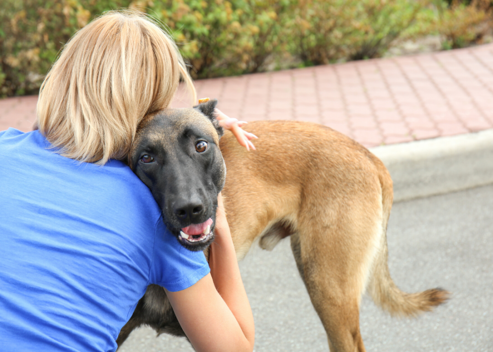 Les refuges pour animaux qui accueillent le plus de chiens et de chats dans tous les États 