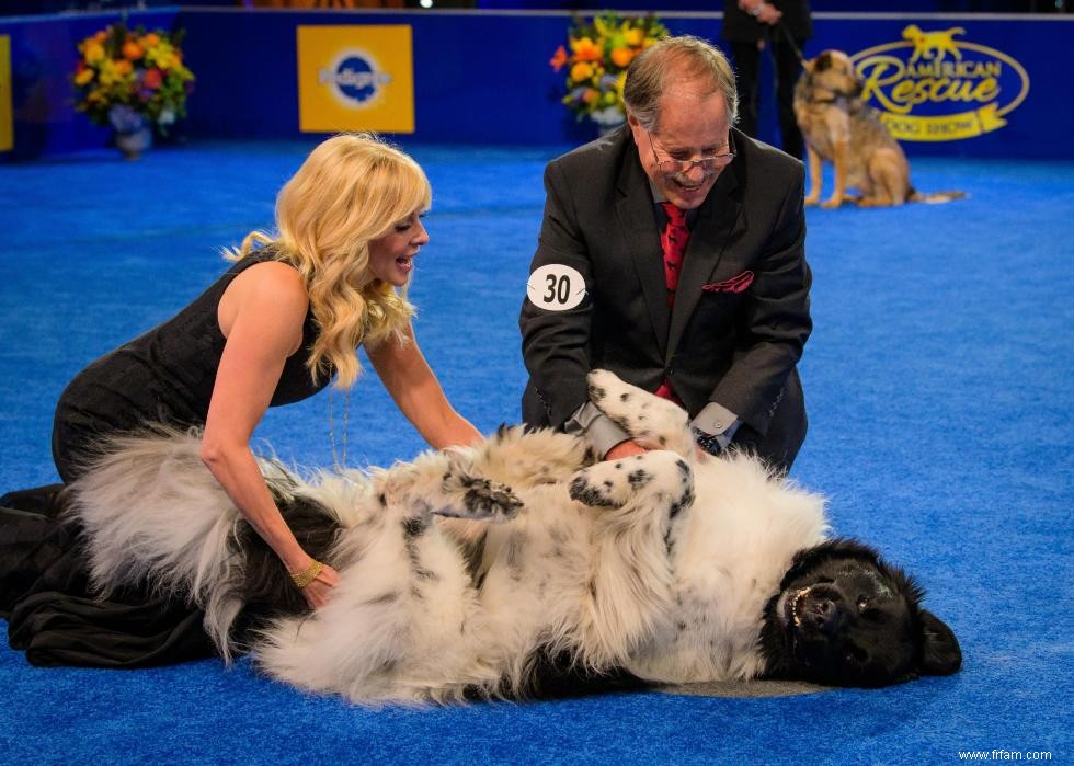 Concurrents de l American Rescue Dog Show 2020 