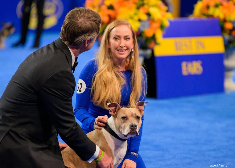 Concurrents de l American Rescue Dog Show 2020 