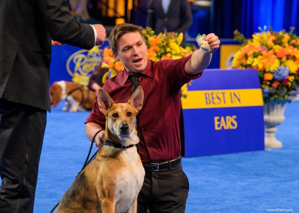 Concurrents de l American Rescue Dog Show 2020 