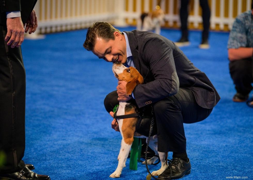 Concurrents de l American Rescue Dog Show 2020 