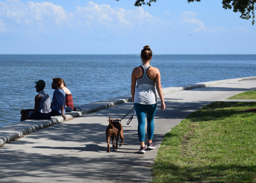 La plupart des villes acceptant les animaux domestiques en Amérique 