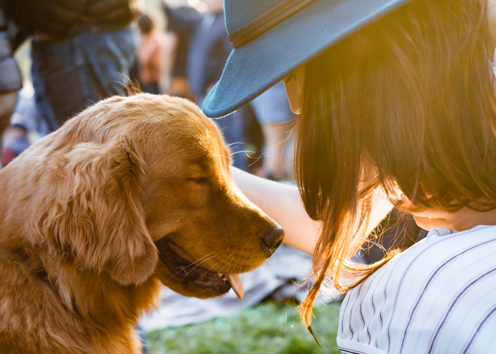 La plupart des villes acceptant les animaux domestiques en Amérique 